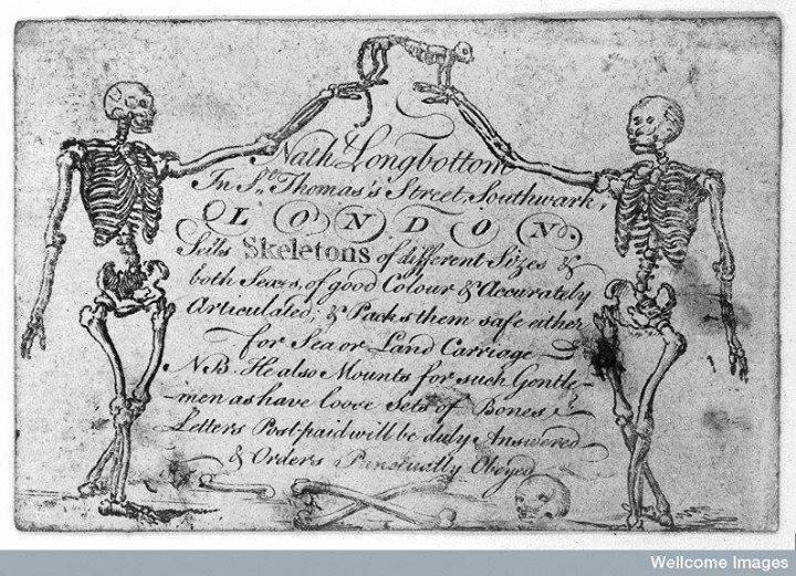 tenebrum:  Trade-card of Nathaniel Longbottom, supplier of skeletons (18th century).