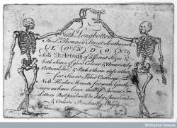 tenebrum:  Trade-card of Nathaniel Longbottom, supplier of skeletons (18th century).  