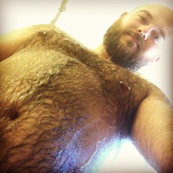 barebearx:  djcubster:  Wet Fur Wednesday 1/16/13  xxxxxxx~~~~~~~~~~~~~~~~~~~~~~~~~~~~~~~~~~~~~xxxxxxx *** FOLLOW ME *** ~ ♂♂ http://barebearx.tumblr.com/ **for HAIRY men &amp; SEXY men** xxxxxxx~~~~~~~~~~~~~~~~~~~~~~~~~~~~~~~~~~~~~xxxxxxx