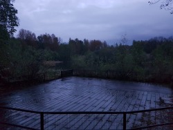 The Amphitheatre near my house is gorgeous at dusk…