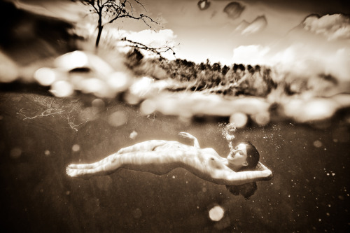 theonlymagicleftisart:Underwater Photography by Neil CraverTumblr | Facebook | WebsiteTo subscribe t