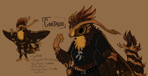 cortado ref sheet