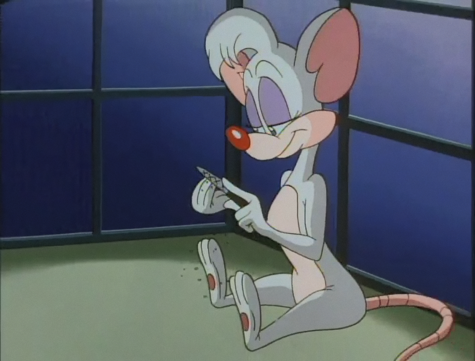 Pinky Giving Brain