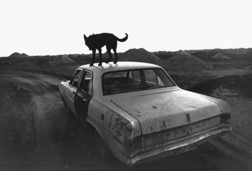 baddreamland:Dusk in Coober Pedy, Wim Wenders, 1978.