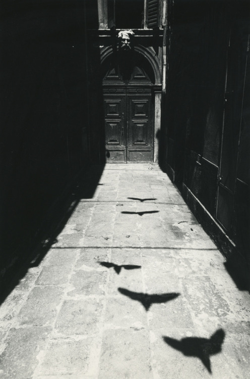 orplid:  Scenery - photo by Ikko Narahara 