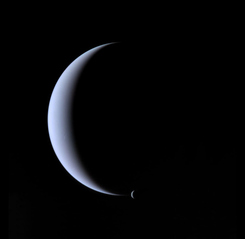 The planet Neptune and its moon Triton together in rising phase in 1989, seen by the Voyager 2 probe