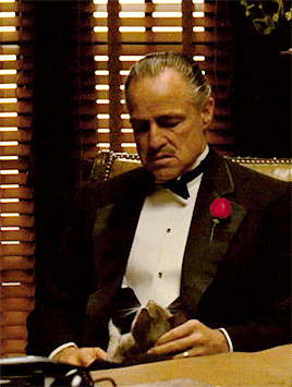 babeimgonnaleaveu:    “As Don Corleone calmly explains his idea of “friendship” to the undertaker Bonasera, the first nearly full-body shot of the don reveals an unexpected guest: a gray and white cat sitting in Marlon Brando’s lap. “The cat