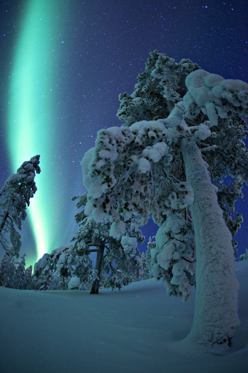 mistymorningme:  Aurora Borealis in Sodankylä, Finland by Visit Finland 