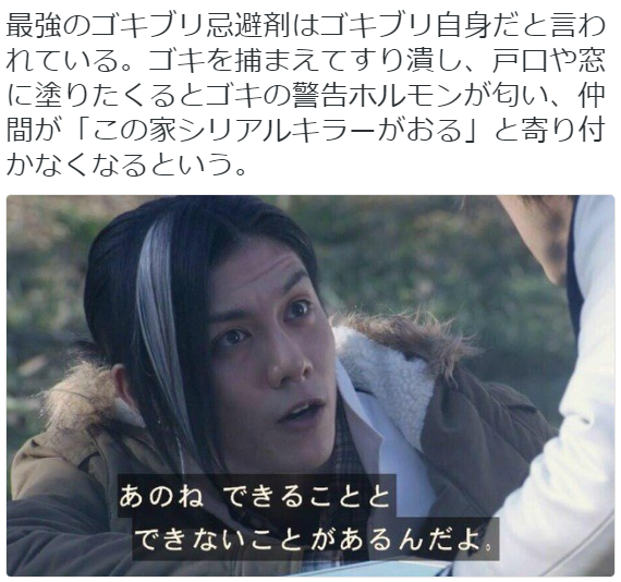 hkdmz:  こなたま（CV:渡辺久美子）さんのツイート: “最強のゴキブリ忌避剤はゴキブリ自身だと言われている。ゴキを捕まえてすり潰し、戸口や窓に塗りたくるとゴキの警告ホルモンが匂い、仲間が「この家シリアルキラーがおる」と寄り付かなくなるという。