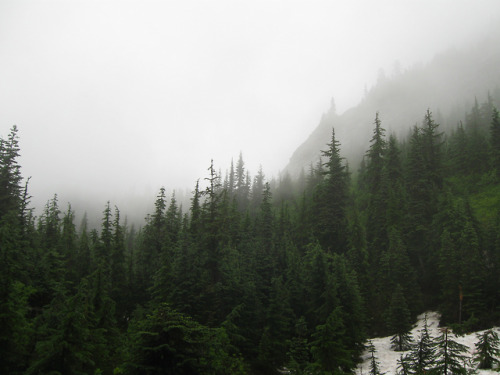 Into the Clouds by John Sluder