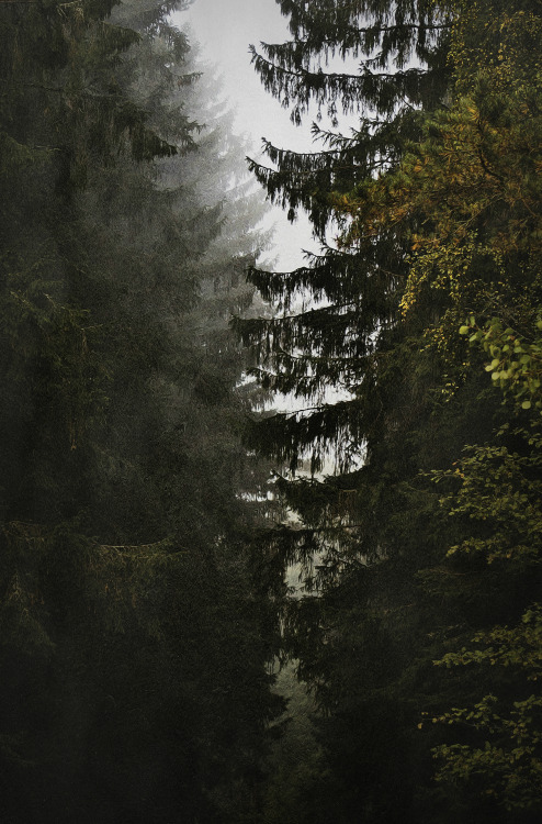 heathenharnow: Höstotta - X© Heathen Harnow - please do not remove credit