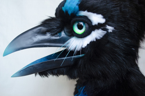 Wrapping up my last big project of 2020 - an artistic libery stellar’s jay for @magpiemunchie!