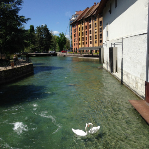 Annecy, France   cities i’ve visited 2/?