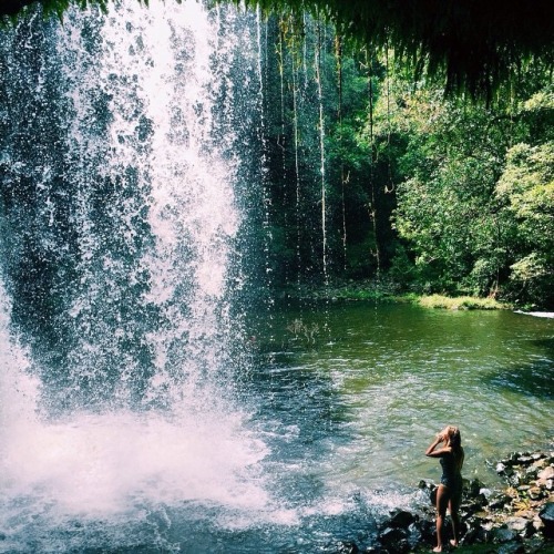 tropiqua-l: oceaniatropics: Killen falls, NSW, Australia, by Lisa Smith q’d active tropical blo