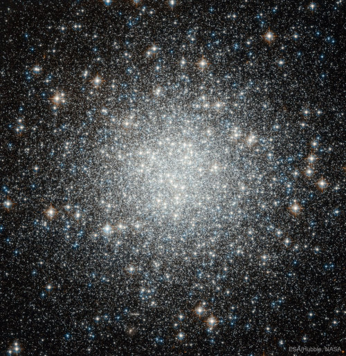 just–space:  Blue Straggler Stars in Globular Cluster M53  : If our Sun were part of this star cluster, the night sky would glow like a jewel box of bright stars. This cluster, known as M53 and cataloged as NGC 5024, is one of about 250 globular clusters