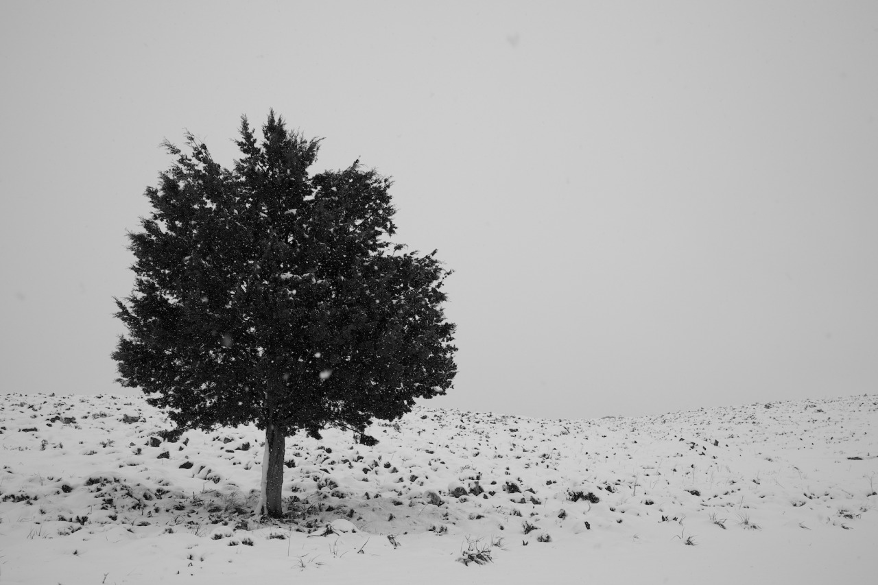 Do you know what color loneliness is?