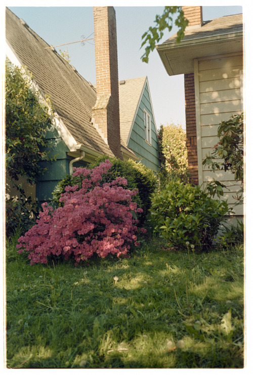 seanklingelhoefer:Portland, OR 2019.Nikon 35ti | Kodak Gold 200