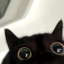 squishyymilkies