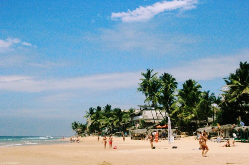 louisetannerphotography: hikkaduwa beach