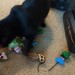 fbwzoo:fbwzoo:Imagine thinking you should toss your cat outside to get hit by a car or eaten by a coyote because there’s justNoPossibleWayToGiveThem EnrichmentInside.Imagine if there was only a way to increase space for your cat inside.There’s