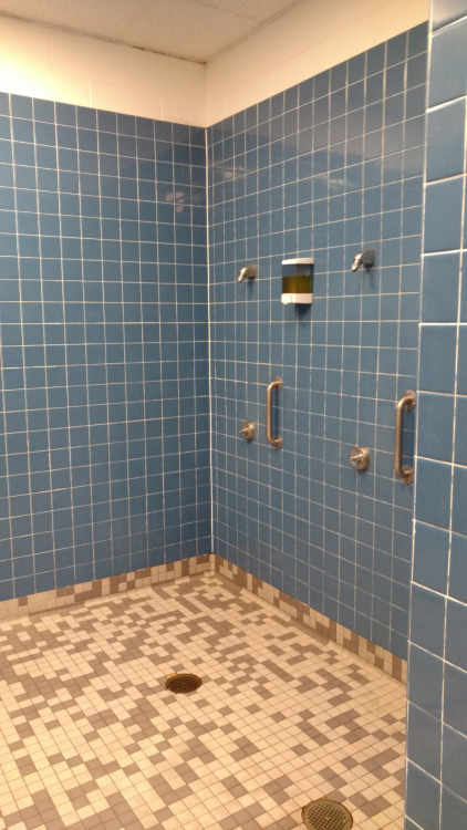 LA Fitness, Melrose Park, IL