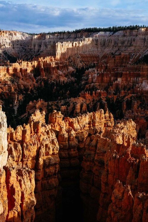 From the depths // Bryce Canyon, April 2014Photography by Korey Klein