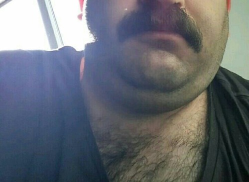 brisbrom: bearbottom-mtvernon: This man is gorgeous! I’ve got a use for you… I want that short fat c