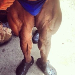 Musculos, Roids y Osos