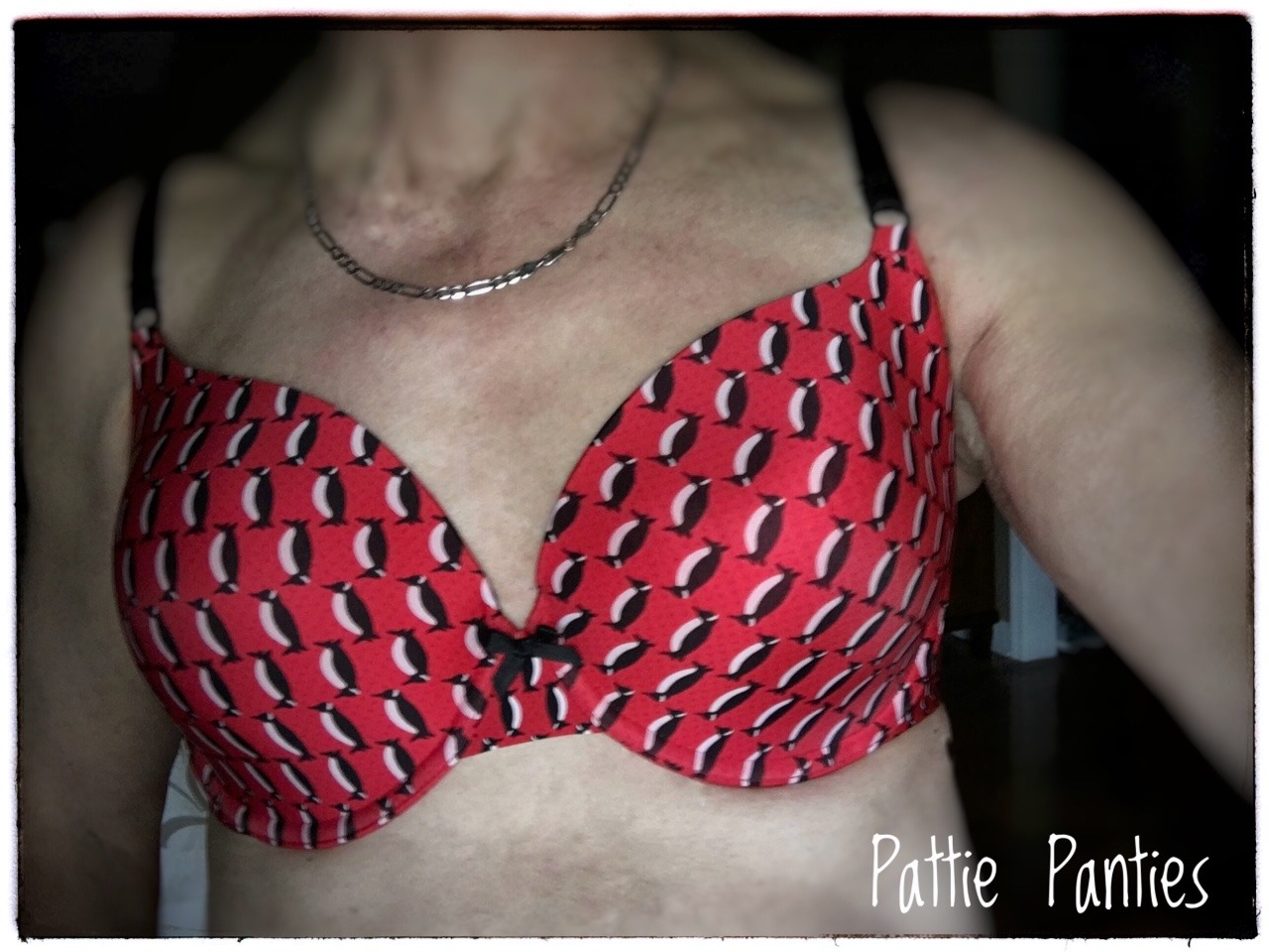 pattiespics:  Bra that my sexy neighbor gave me.  I so enjoy the feeling while wearing