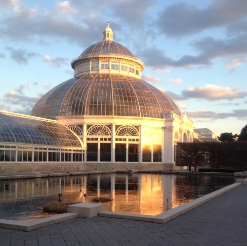 New York Botanical Garden, January 2015