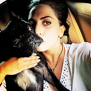 gardenpanti:   Lady Gaga’s 2015 Instagram Selfies  