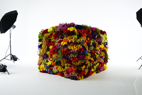 BOX FLOWERS / Azuma MakotoIn japanese art, the ancient Kusozu style refers to a specific series of w