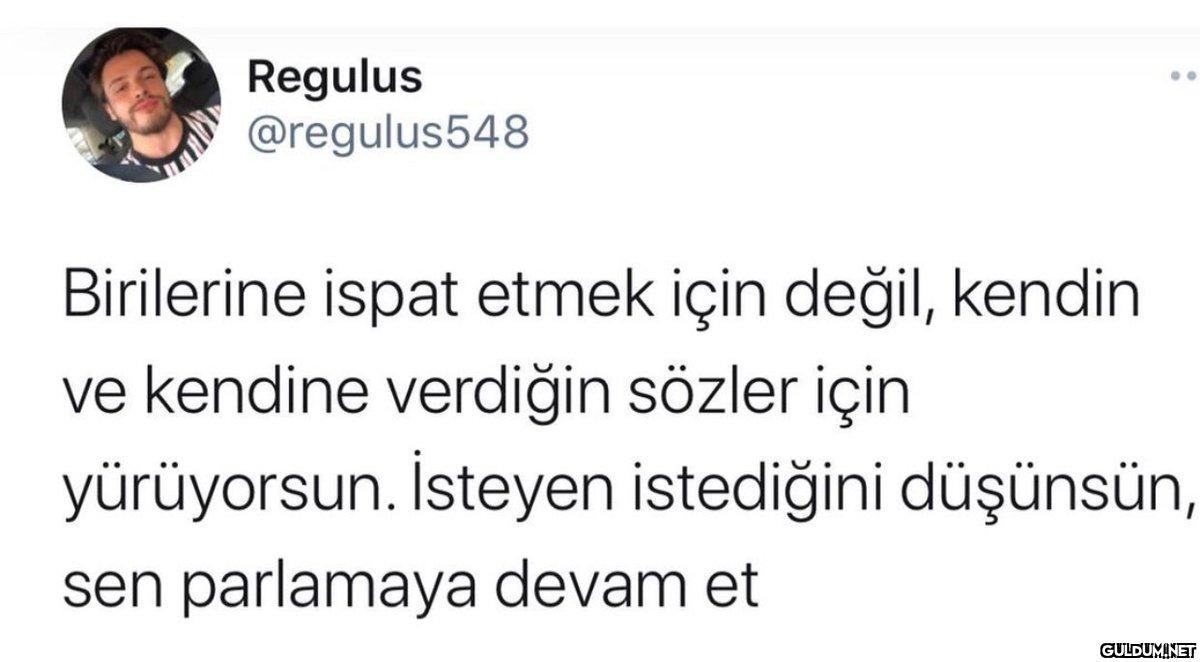 Regulus @regulus548...