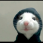 ekimmi