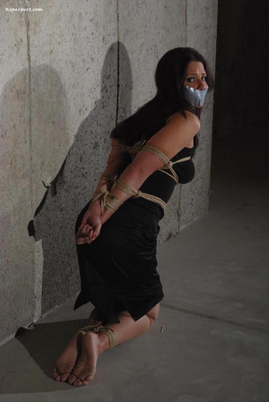 XXX bondagehedgehog:Cali Logan photo