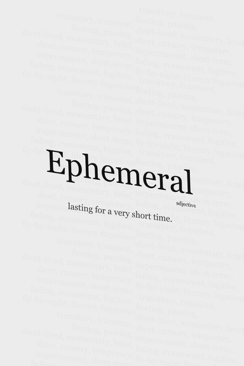 Ephemeral  |  @wnq-words