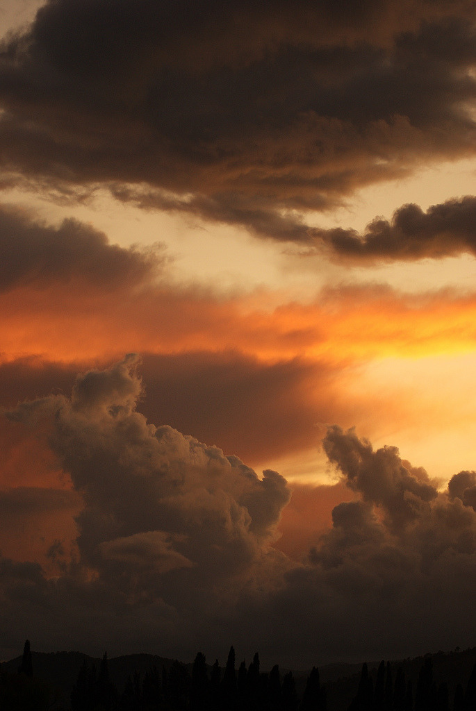 disminucion:  by divka. 