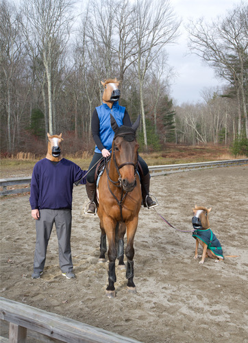 theqille:  wowjustloveme:  meladoodle:  you came to the wrong neigh-bourhood, motherfucker