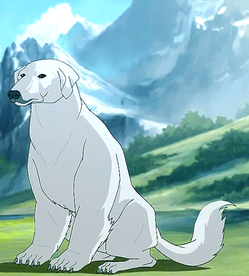 Avatar Korra