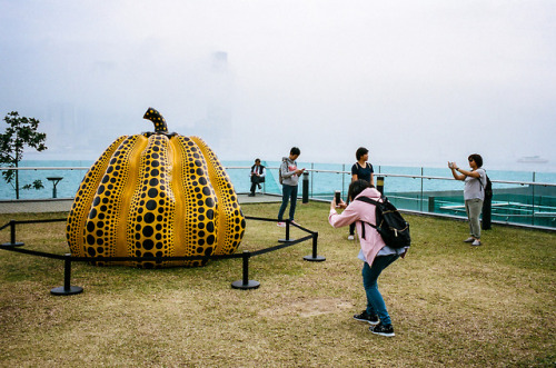 Portra400 | Fog Engulfs Hong Kong on Mar 3, 2018www.instagram.com/wongweihim