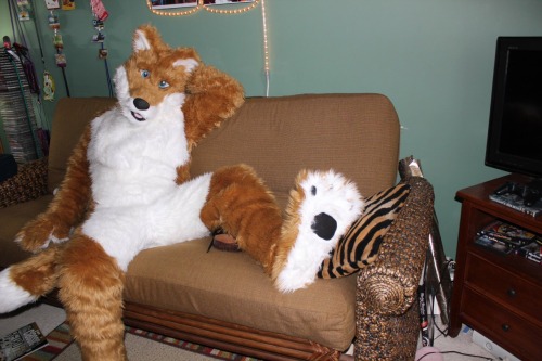 Sexy poses and paws.. ;)Not a murrsuit.