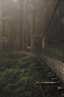 r2–d2:  Forest Bridge By -kent- 