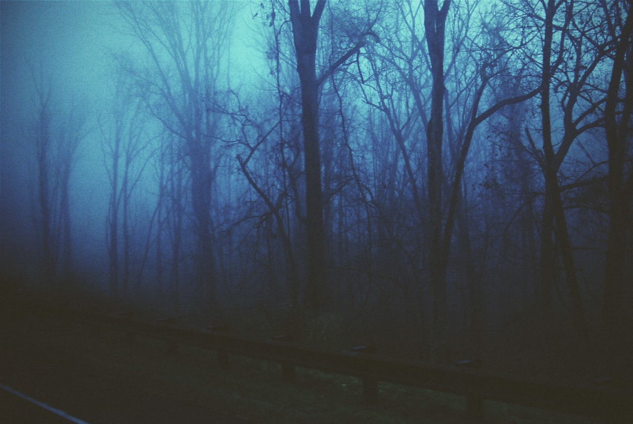 814stops: foggy towns somewhere between exton and doylestown, pa 2015 