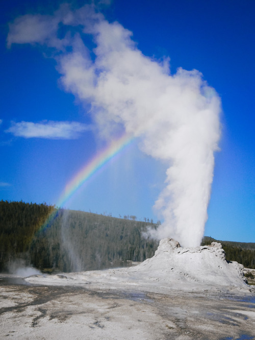 thatphotographerangie:Rainbow GeyserYellowstone National Park June 2015