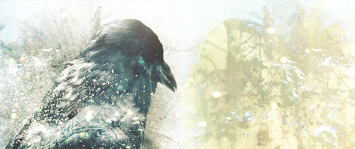 euloqy:   | f a l l i n g |   