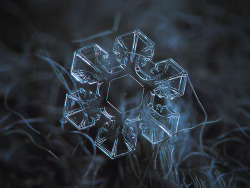 howstuffworks:  Photographer Alexey Kljatov (aka ChaoticMind75) takes macro shots of natural snowflakes, snow and hoarfrost crystals right outside of his house in Moscow, Russia. 