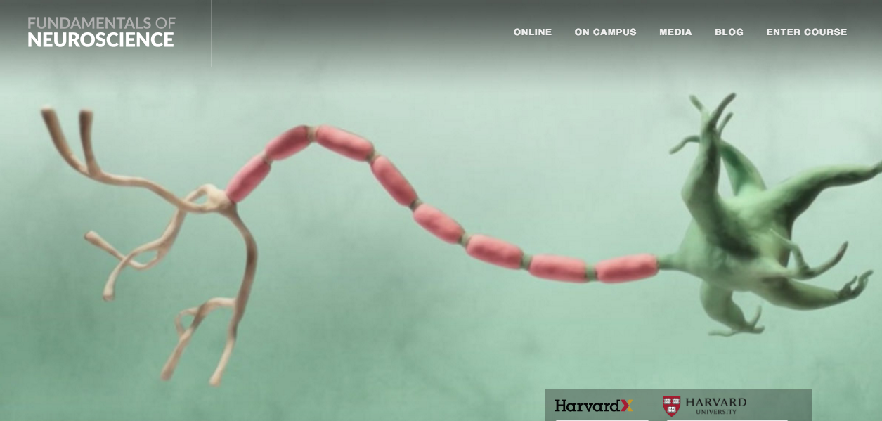 sixpenceee:  Harvard University offers a completely free online course on the Fundamentals