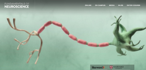 nectarandvenom:roguemechanic:sixpenceee:Harvard University offers a completely free online course on