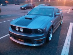 fuckyeahfordmustangs:  Found a buck-toothed Mustang :)