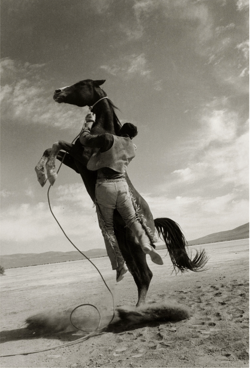 newloverofbeauty:Ernst Haas:  Leaping Horse, Nevada  (1961)